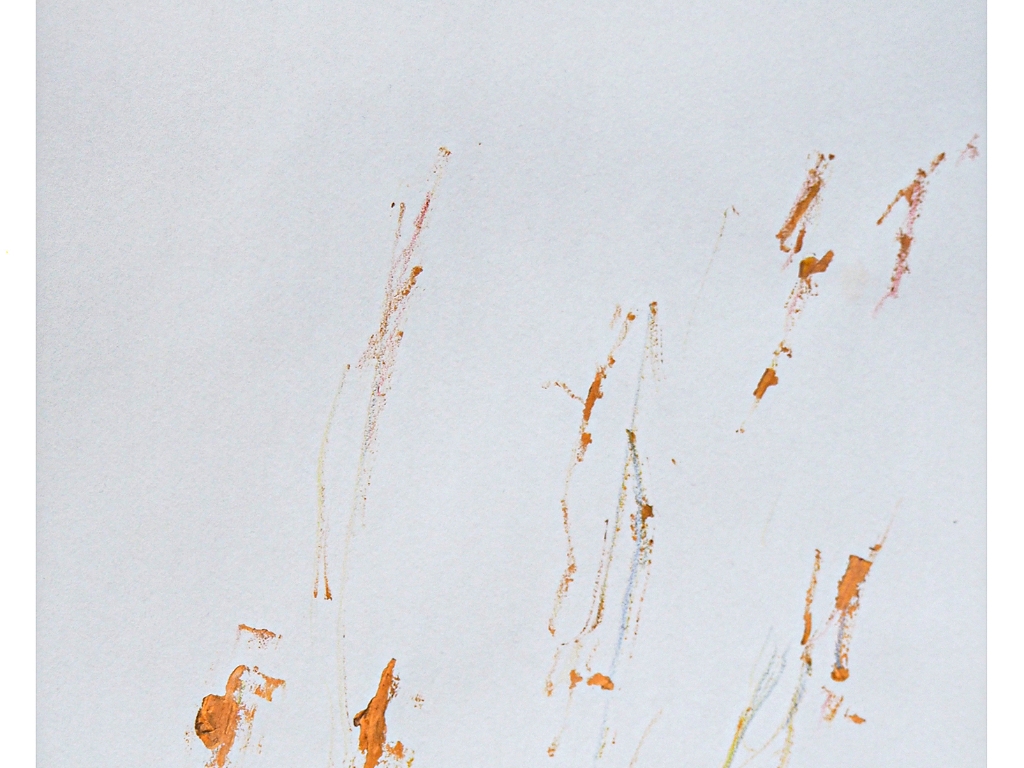 21 x 30c m